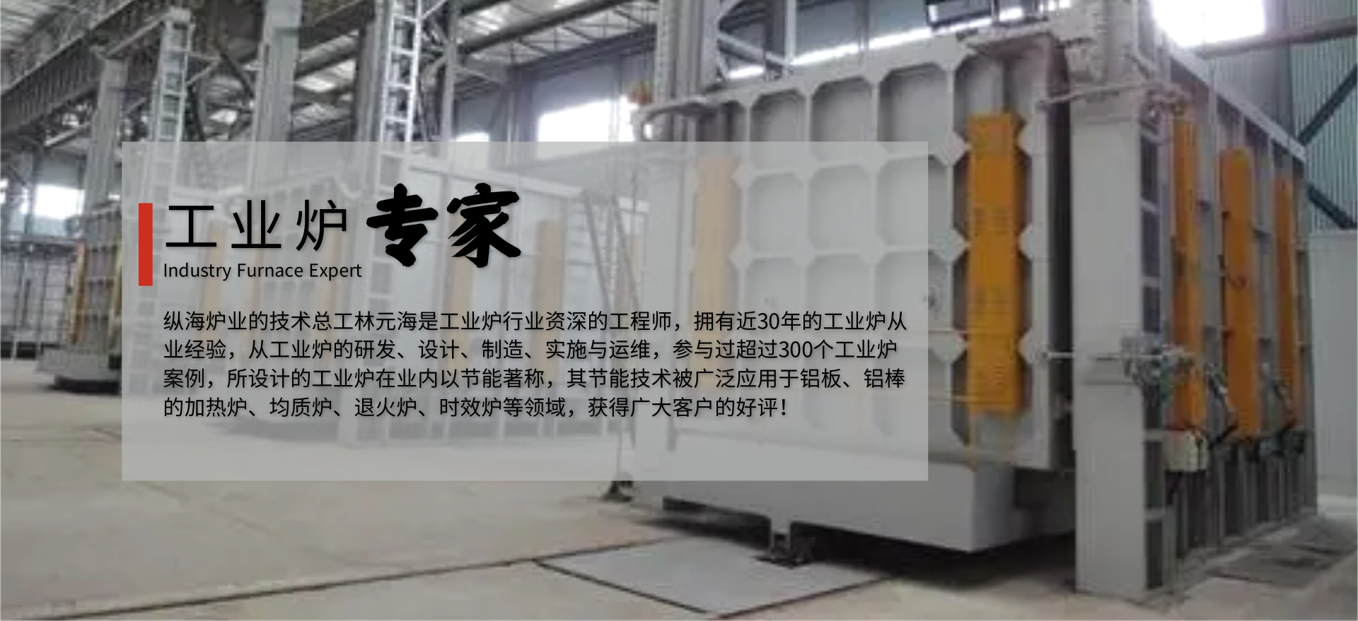 工業(yè)電爐專家-林元海.jpg